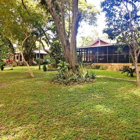 Xalli Beach Hotel Altagracia Kültér fotó